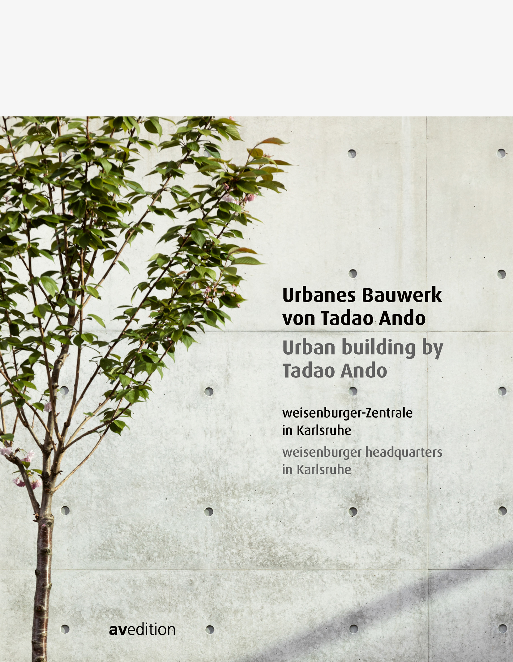 Urban building by Tadao Ando – weisenburger headquarters in Karlsruhe Cover mit Ausschnitt der von Tadao Ando entworfenen Fassade der Karlsruher weisenburger-Zentrale: das angedeutete Raster aus Rechtecken und Löchern von Sichtbetonplatten, am linken Rand davor ein Bäumchen.
